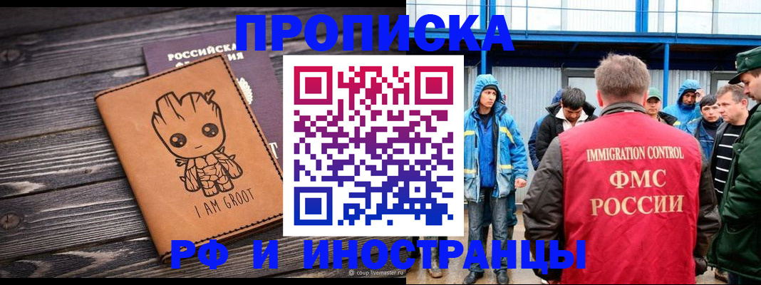 прописка от собственника в Елизово